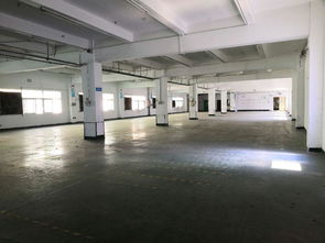 福永白石廈國道邊新出獨院16000平精裝修廠招租500平起租