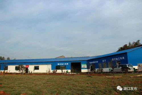 湖口這個鄉(xiāng)鎮(zhèn)變化太大了,美到你不認(rèn)識 是你家鄉(xiāng)嗎