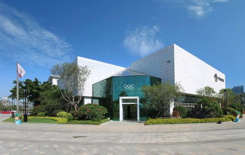 廈門城市職業(yè)學(xué)院商貿(mào)系學(xué)生黨支部走進(jìn)廈門奧林匹克博物館開展主題教育活動(dòng)